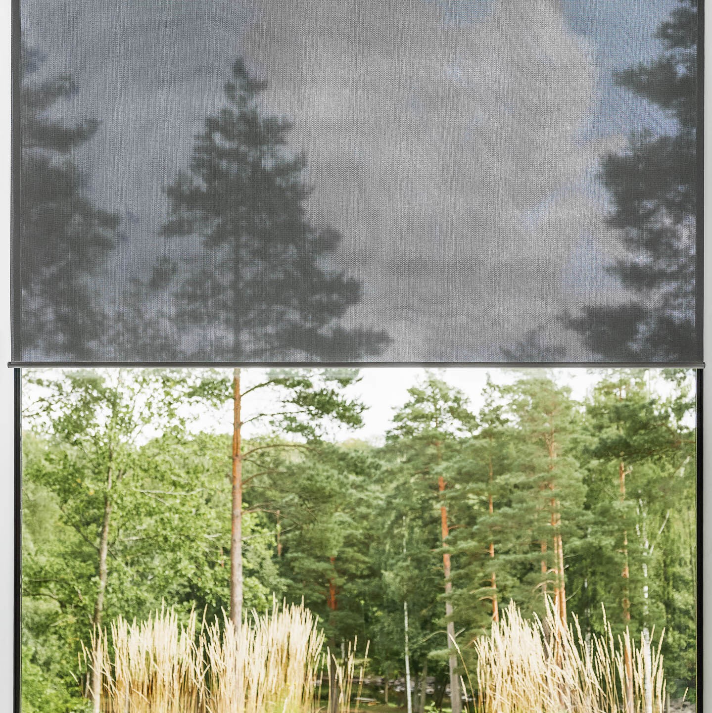 Rullgardin i mörkgrå väv i fönster mot skogstomt på villa, reflekterar trädens siluetter och dämpar ljus.
